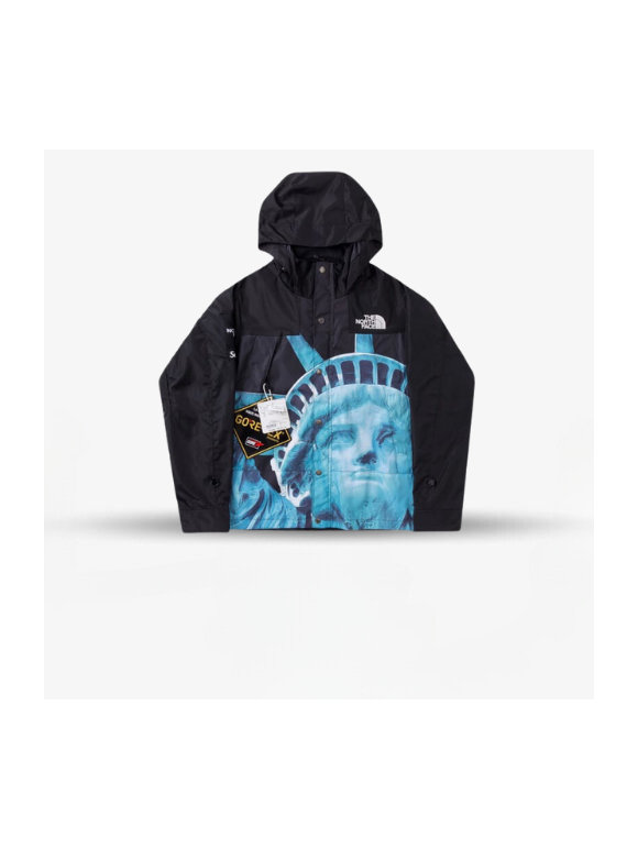 Chaqueta The North Face Gore-Tex colab x Supreme Print L