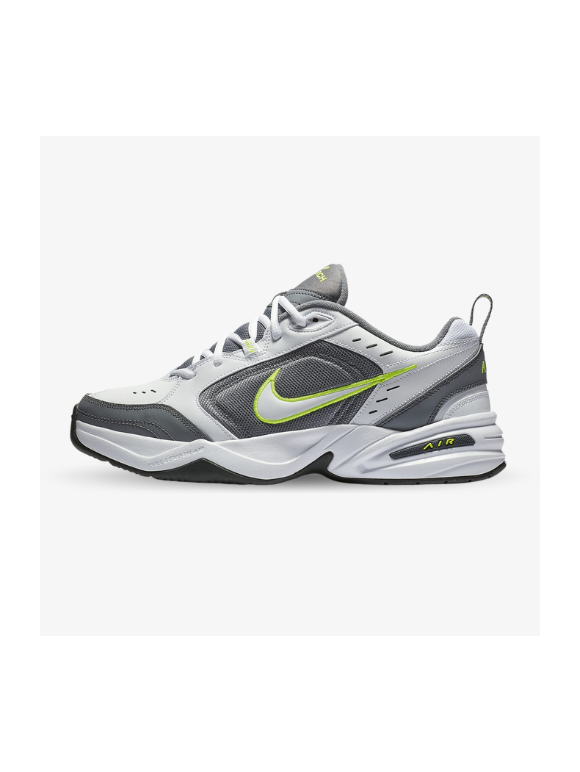 Nike Air Monarch IV Grises