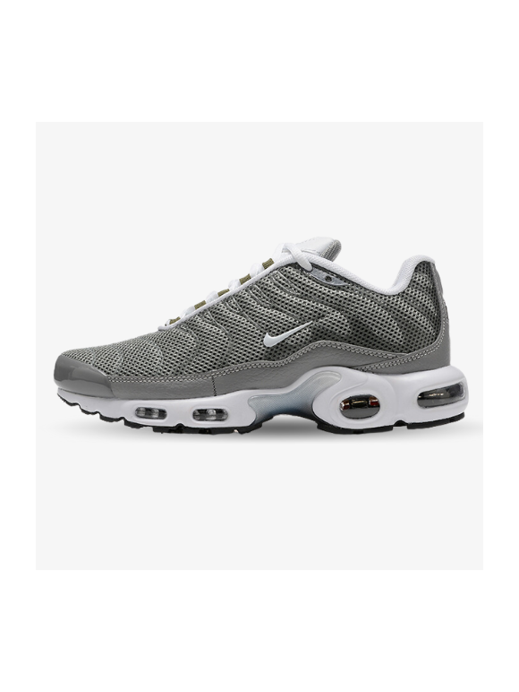 Nike Air Max Plus Grises